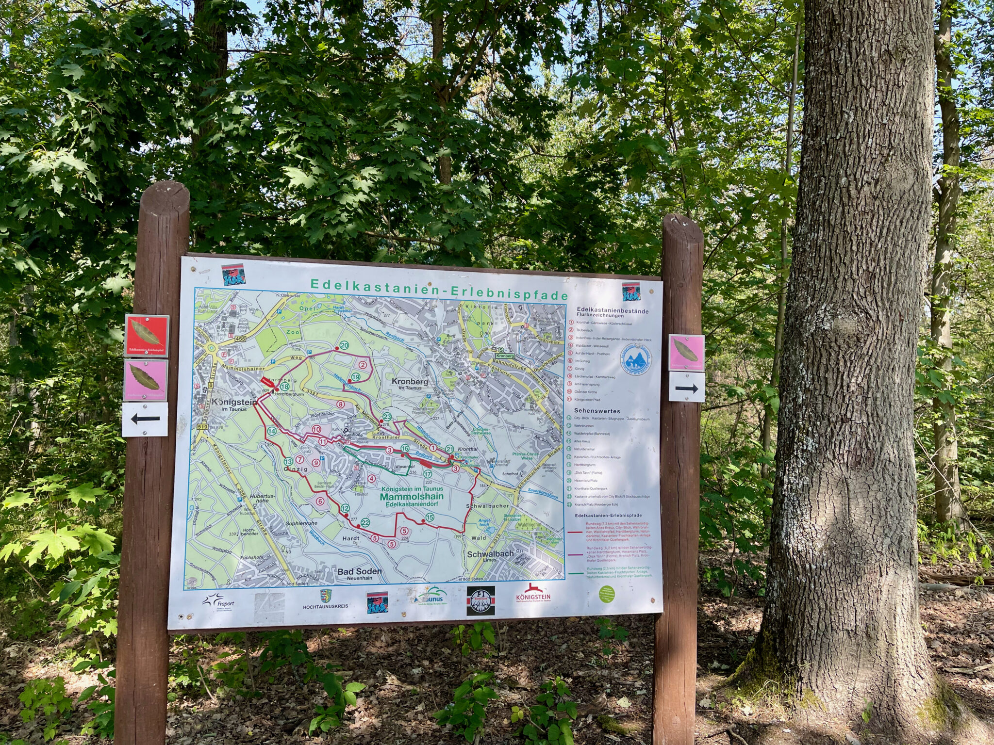 K Nigstein Im Taunus Sehensw Rdigkeiten Heilklima Sanfte H Gel