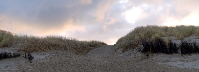 Langeoog Wellness Urlaub - Beachwalking