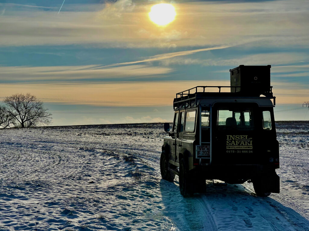 Insel-Safari im Winter auf Usedom