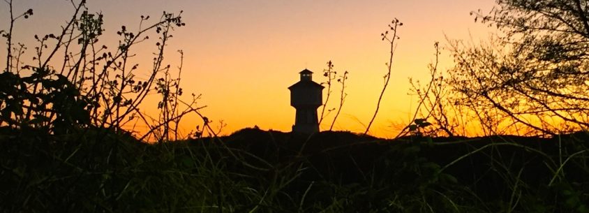 Allgegenwärtig - das Wahrzeichen von Langeoog - der Wasserturm