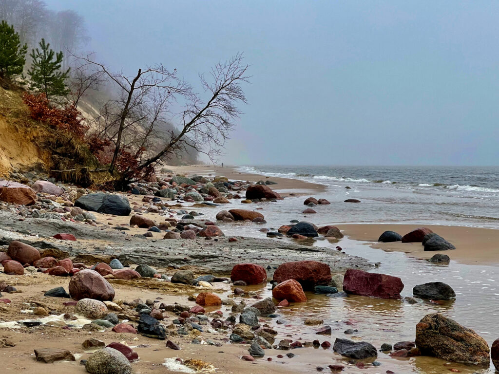 Winter auf Usedom Workation Pause in der Natur