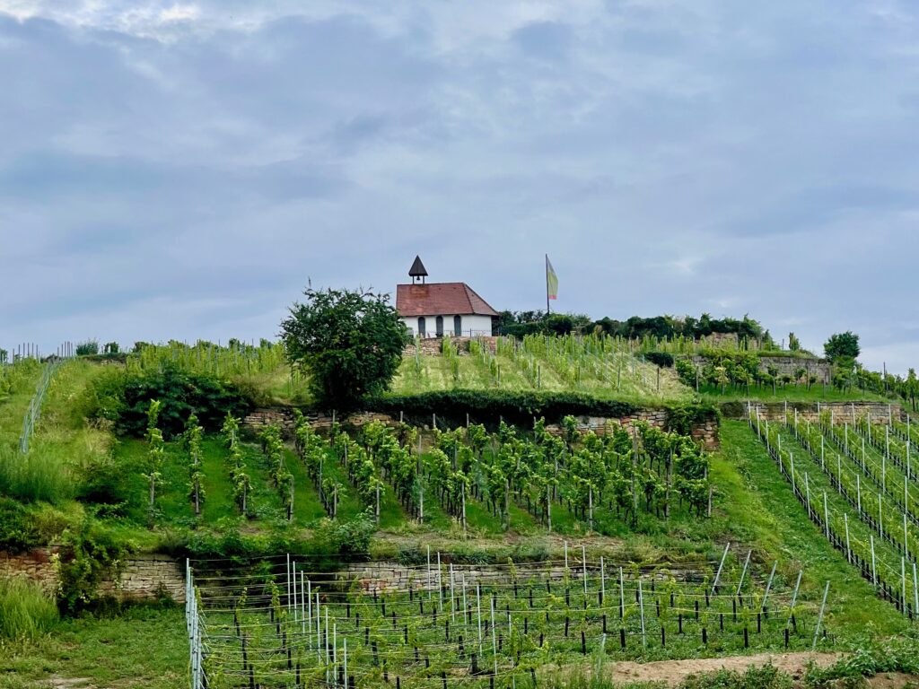 Ausblick vom Gradierwerk Bad Duerkheim