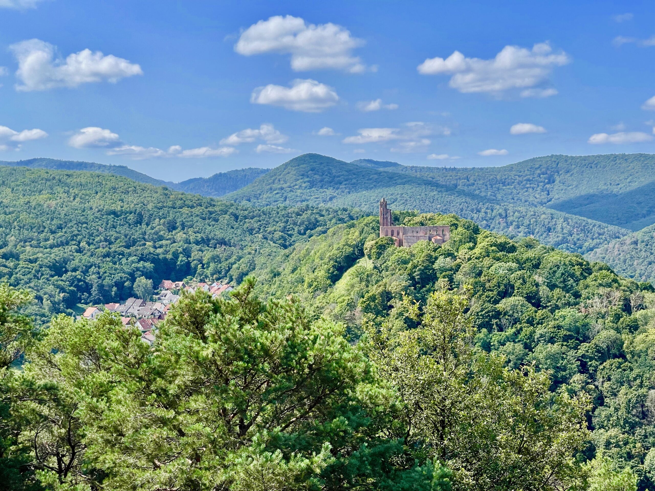 Pfalz Wandern