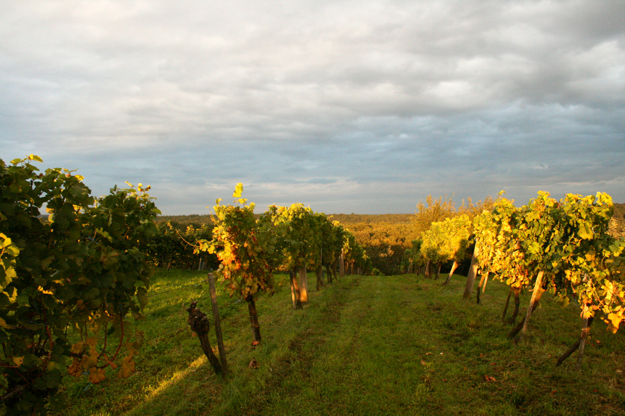 Burgenland an der Grenze zu Ungarn