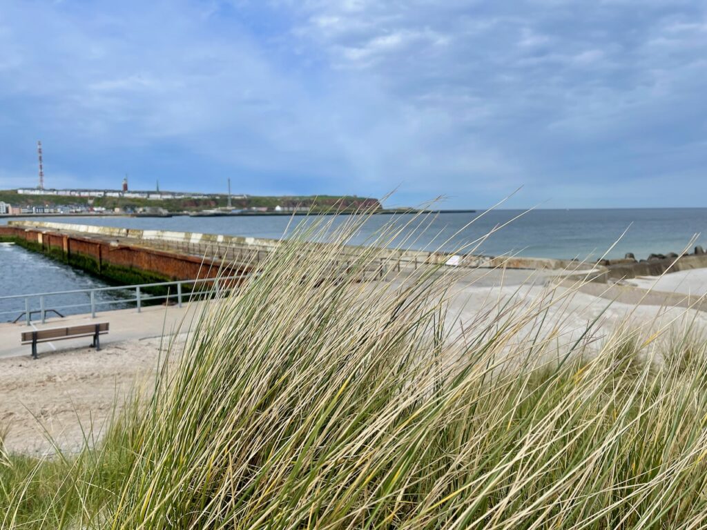 Duene mit Blick auf Helgoland