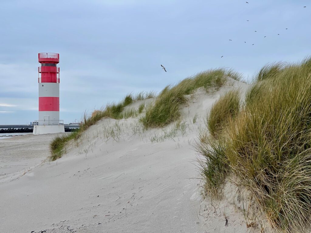 Duene Helgoland