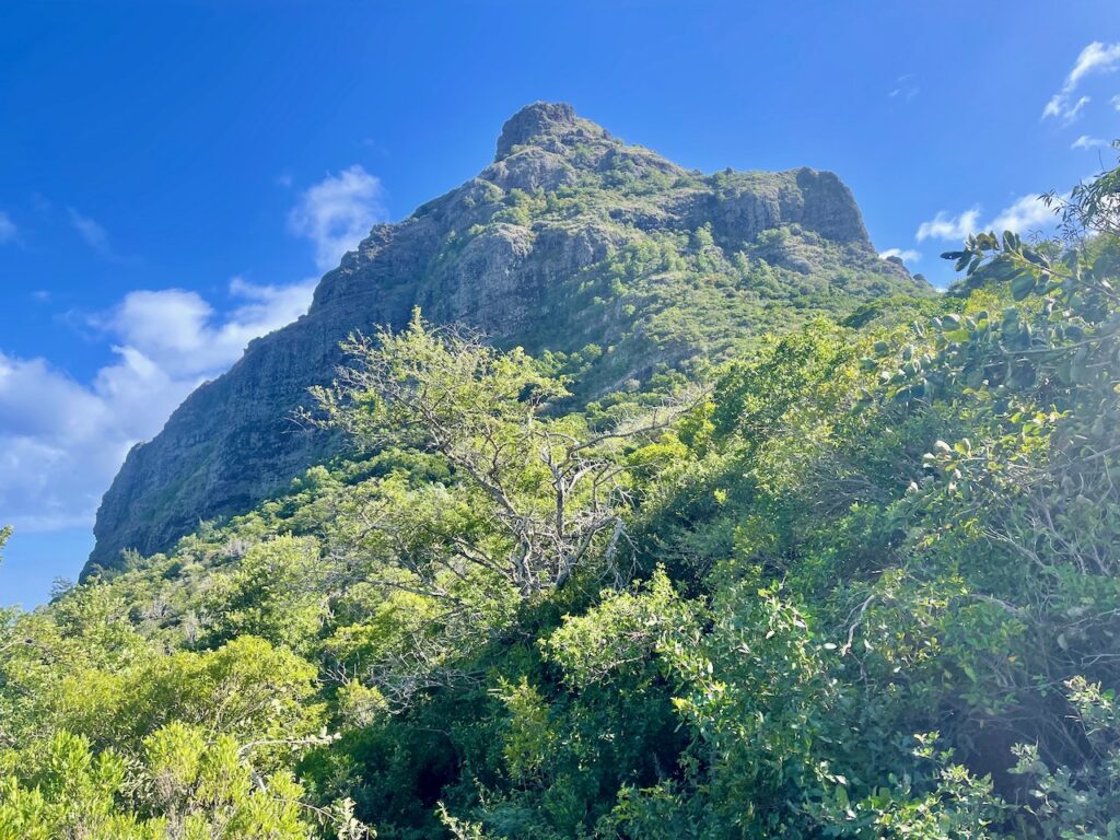 Black River Gorges Nationalpark Mauritius