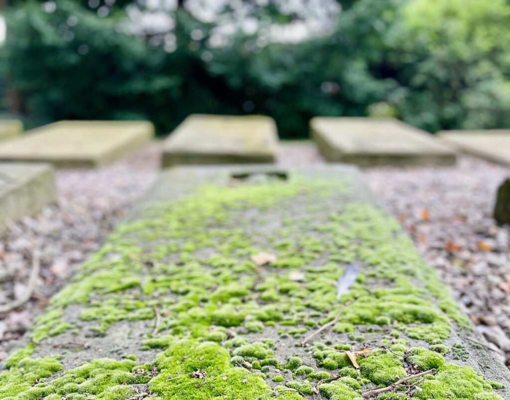 Juedischer Friedhof Glueckstadt