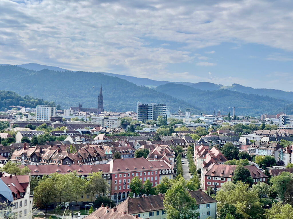 Blick auf Freiburg Sehenswuerdigkeiten