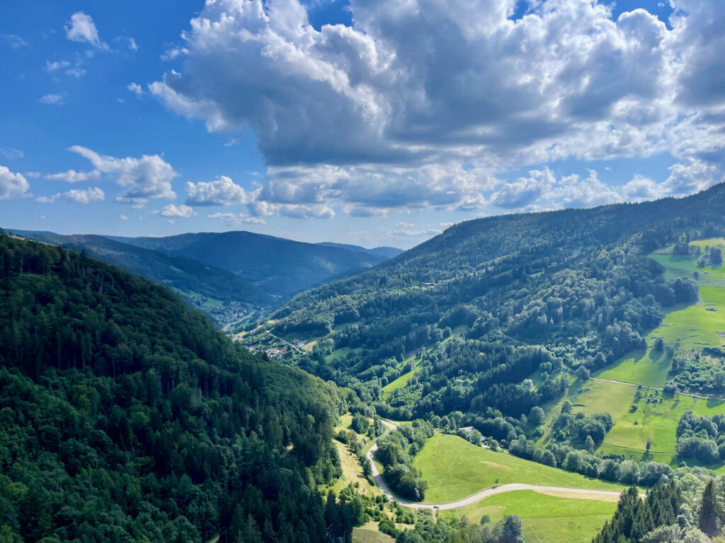 Aussicht von der Blackforestlinke Haengebruecke