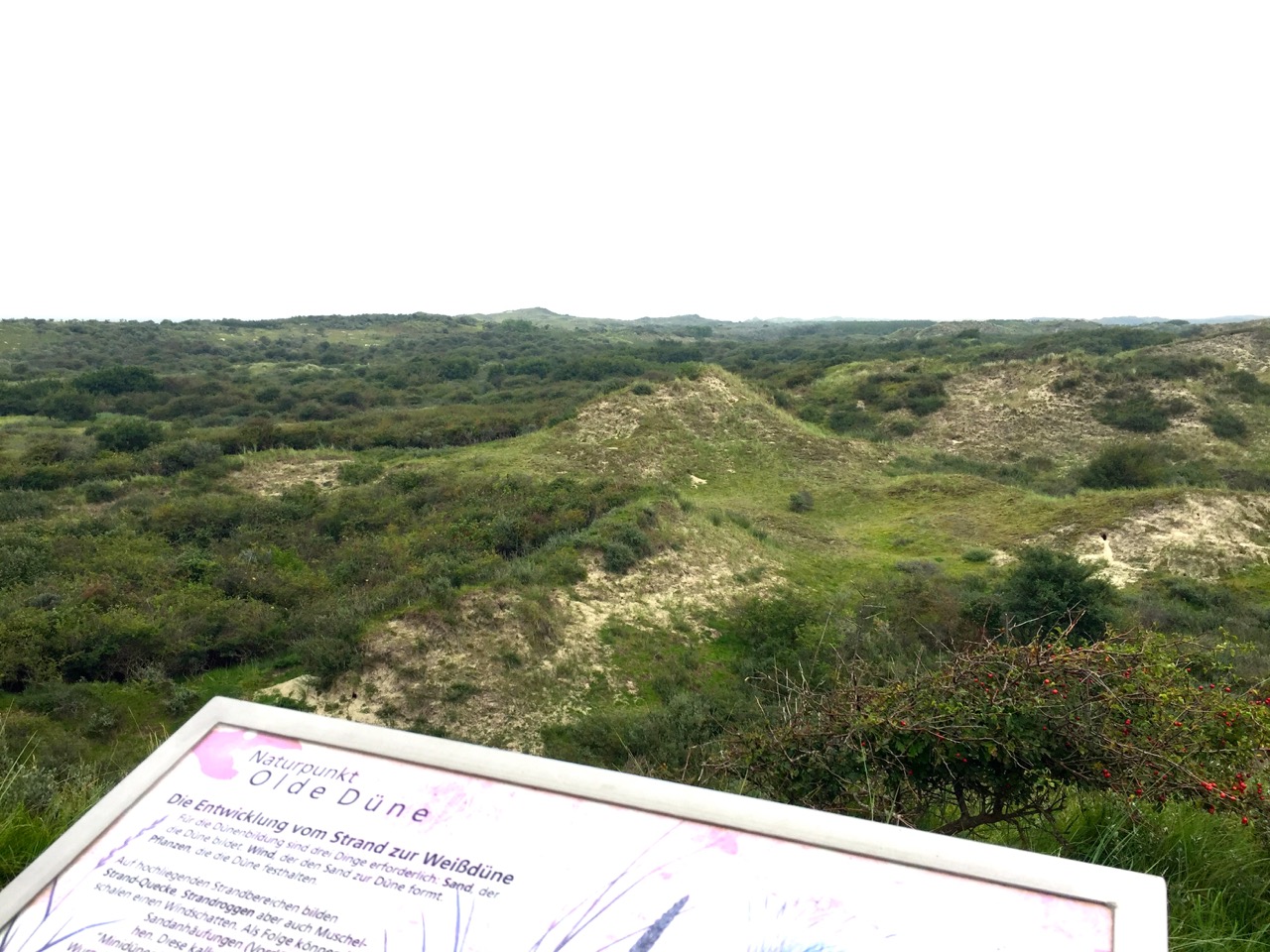 Borkum Reisetipps Aussichtspunkt in den Dünen