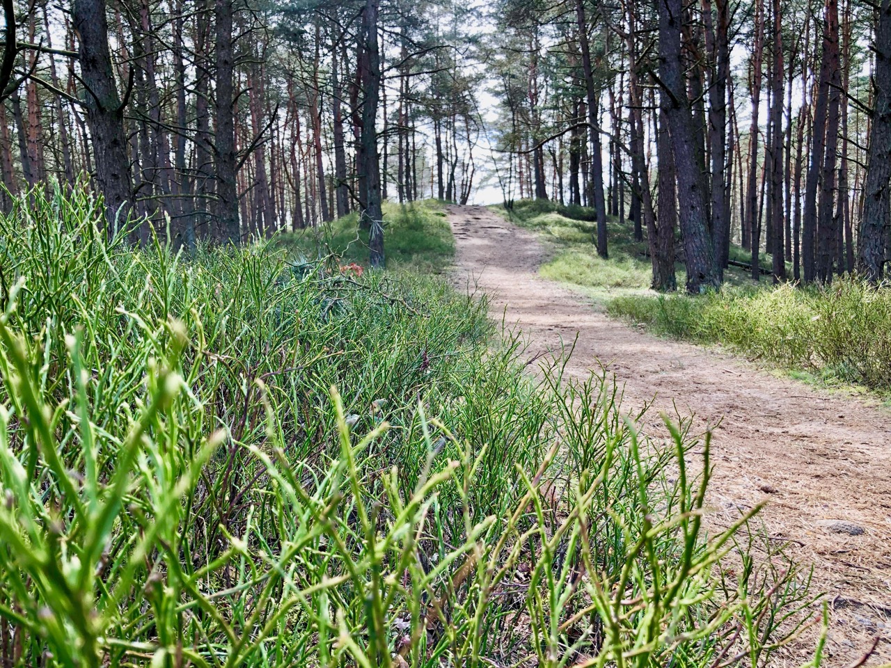 Grüner Ring Hamburg Wandern durch Hamburgs grüne Seiten