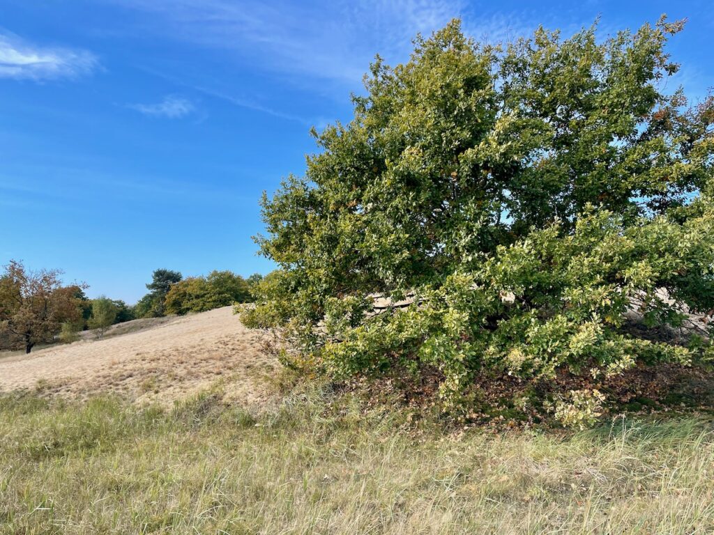 Naturpark Stettiner Haff