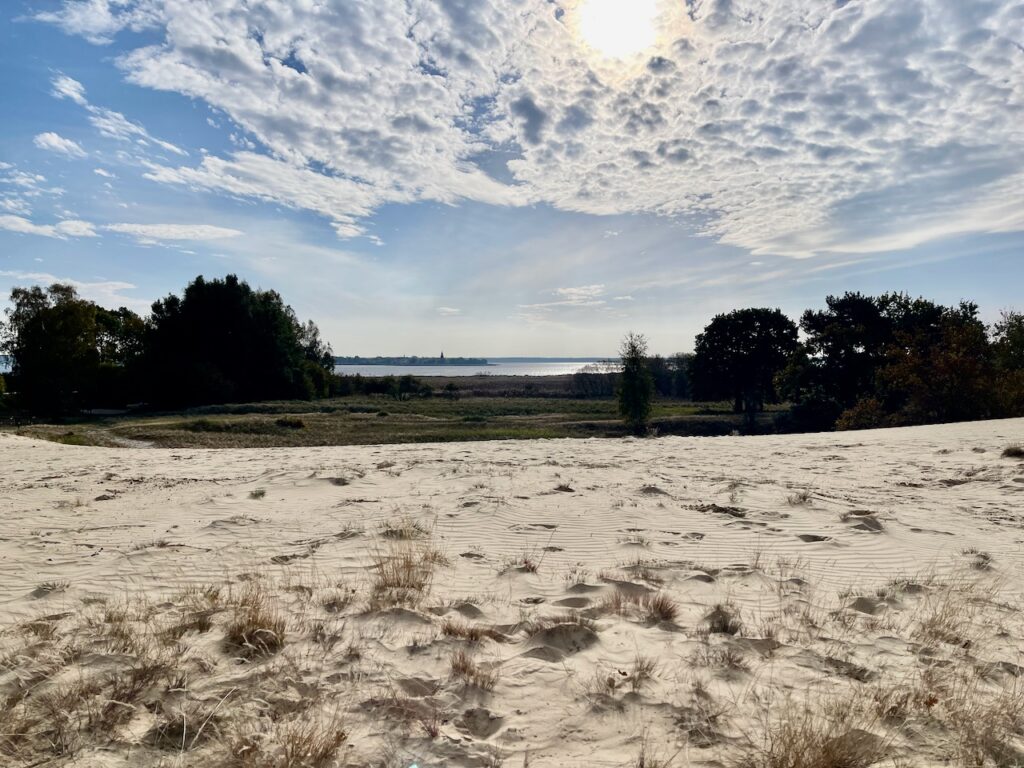 Ueckermuende Sehenswuerdigkeiten Altwarper Binnenduenen