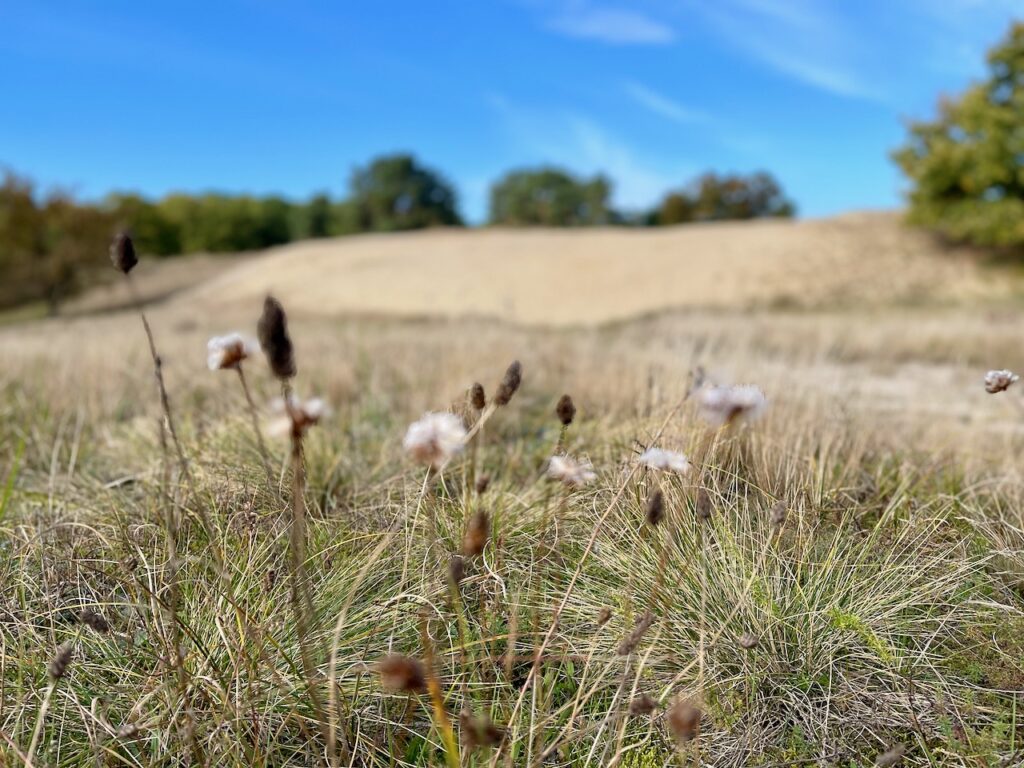 Naturpark Stettiner Haff Sehenswuerdigkeiten