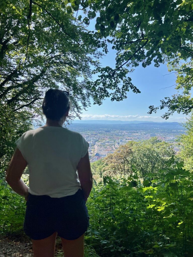 Blick auf Freiburg